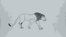 Lion Crown GIF
