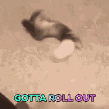 Ferret Rollout GIF - Ferret Rollout Gotta Go GIFs