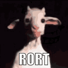Rort GIF - Rort GIFs