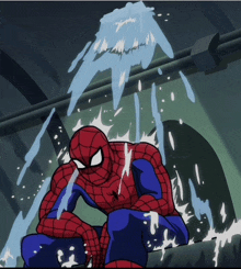 Spider Man Meme GIFs | Tenor