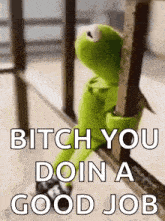 kermit the frog is sitting on a railing and saying `` bitch you doin a good job ''