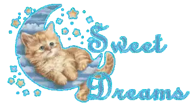 Sweet Dreams Cat Sticker - Sweet Dreams Cat Cute Stickers