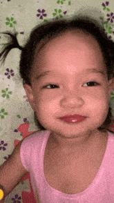 a little girl with pigtails and a pink shirt