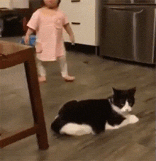 a little girl is standing next to a black and white cat on the floor in a kitchen .