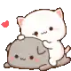 a white cat and a gray cat are sitting next to each other .