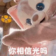 a stuffed animal with chinese writing on it