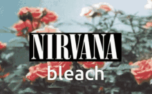 Nirvana Bleach GIF - Nirvana Bleach Steven GIFs