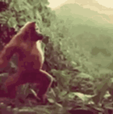 Ape Dance GIF - Ape Dance Hyped GIFs