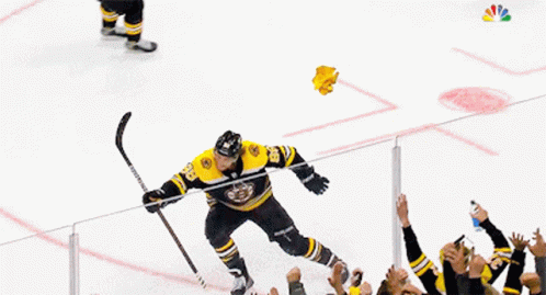 Boston Bruins Jeremy Swayman GIF - Boston Bruins Jeremy Swayman