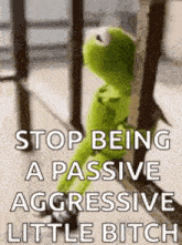 kermit the frog is sitting on a railing and saying `` stop being a passive aggressive little bitch ''