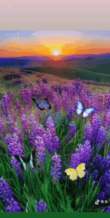 Happy Day Sunset GIF - Happy Day Sunset Nature GIFs