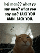 Hey Man What You Say Men GIF - Hey Man What You Say Men Fakc You Man GIFs