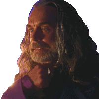 a man with long hair and a beard is looking to the side