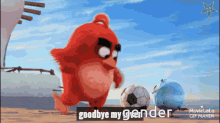 Gender Angry Birds GIF