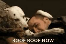 Dognigh Roofroof GIF