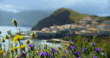 Beatiful Madeira GIF - Thebachelorette Abc Island GIFs
