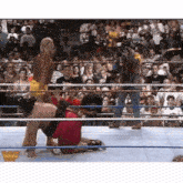 a woman in a red dress is kneeling down in a wrestling ring