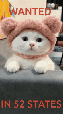 Wanted Cat GIF - Wanted Cat Kiwi Discord GIFs
