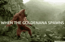 Gorilla Quest Goldenana GIF - Gorilla Quest Goldenana Gorilla GIFs