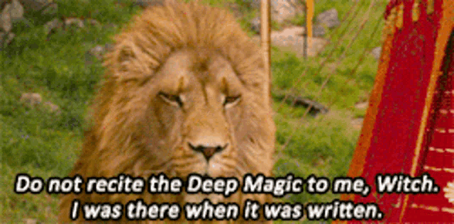 aslan Memes & GIFs - Imgflip