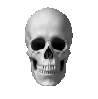 骷颅 Skull Sticker - 骷颅 Skull Stickers