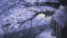 a fenced in area with a tree with purple flowers on it