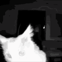 Sniffing GIF - Sniffing GIFs