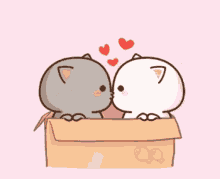 Kiss Cute GIF - Kiss Cute Cats GIFs