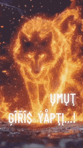 a picture of a wolf on fire with the words umut giriş yapti written below it