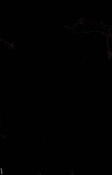 pearifa