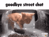 a cat is walking through a plastic container with the words goodbye street chat written above it