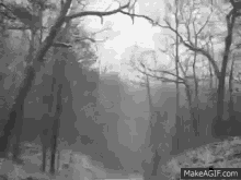 Forest Gif GIF - Forest Gif Animation GIFs
