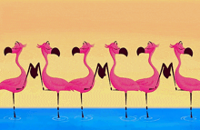 Flamingo Flamingos GIF - Flamingo Flamingos Handshake GIFs