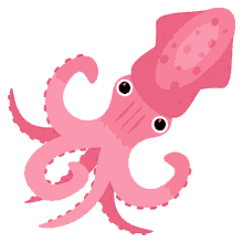 squid large