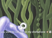 Non Slip Pan Shell Phone GIF - Non Slip Pan Shell Phone Spongebob GIFs