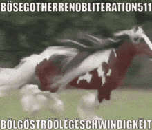 Horse Fast GIF - Horse Fast Speed GIFs