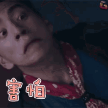害怕，抗拒，王大陆 GIF - Afraid Scared Wang Da Lu GIFs