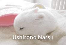 Ushirono Natsu Zeno Remake GIF - Ushirono Natsu Natsu Zeno Remake GIFs