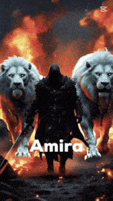 a man with a sword is surrounded by two white lions and the name amira