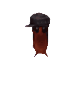 a cockroach wearing a black hat and a pink heart on its back