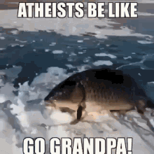 Atheist GIF - Atheist GIFs