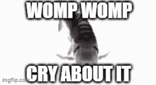 Memes Fish GIF - Memes Fish Womp Womp GIFs