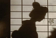 a person 's shadow is cast on a window with a flower on it