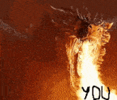 a dragon with flames coming out of its mouth and the words " you " written below it