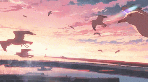 Another Anime GIF  Another Anime Bird  Discover  Share GIFs