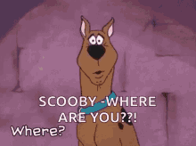 Where Scooby Doo GIF