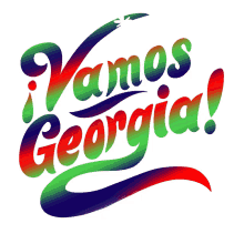lets go georgia vamos vamos georgia ga georgia vota
