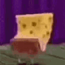 Spongebop GIF - Spongebop GIFs