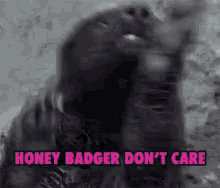Badger Dont Care GIF - Badger Dont Care GIFs