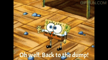 Back To The Dump Spongebob GIF - Back To The Dump Spongebob Spongebob Meme GIFs